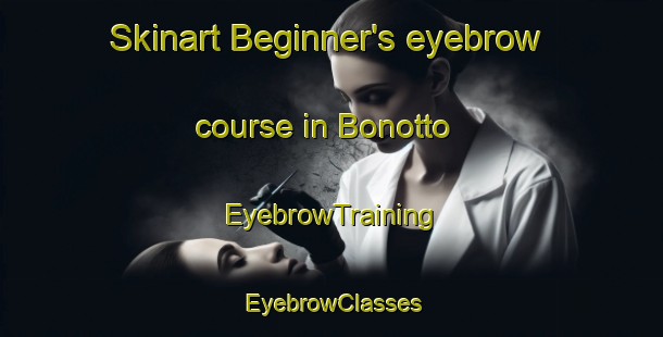 Skinart Beginner's eyebrow course in Bonotto | EyebrowTraining | EyebrowClasses | SkinartTraining-Brazil