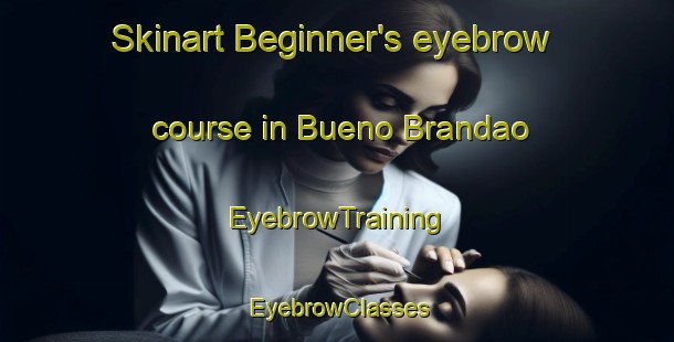 Skinart Beginner's eyebrow course in Bueno Brandao | EyebrowTraining | EyebrowClasses | SkinartTraining-Brazil