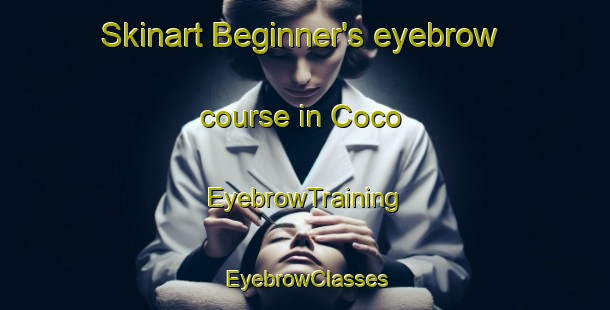 Skinart Beginner's eyebrow course in Coco | EyebrowTraining | EyebrowClasses | SkinartTraining-Brazil
