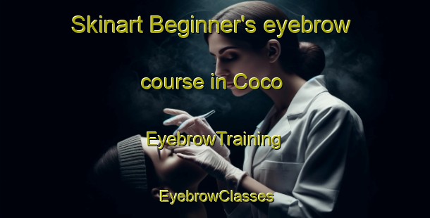 Skinart Beginner's eyebrow course in Coco | EyebrowTraining | EyebrowClasses | SkinartTraining-Brazil