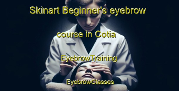 Skinart Beginner's eyebrow course in Cotia | EyebrowTraining | EyebrowClasses | SkinartTraining-Brazil