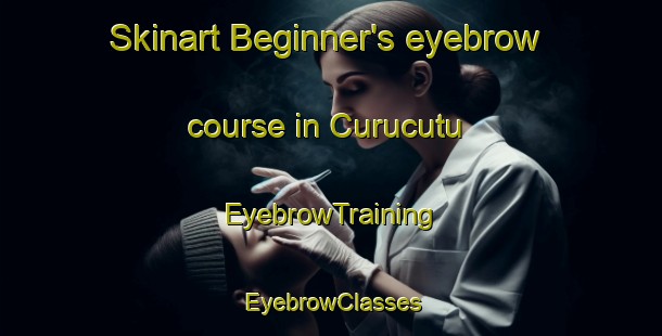 Skinart Beginner's eyebrow course in Curucutu | EyebrowTraining | EyebrowClasses | SkinartTraining-Brazil