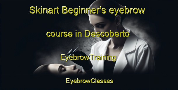 Skinart Beginner's eyebrow course in Descoberto | EyebrowTraining | EyebrowClasses | SkinartTraining-Brazil