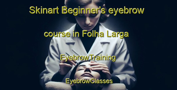 Skinart Beginner's eyebrow course in Folha Larga | EyebrowTraining | EyebrowClasses | SkinartTraining-Brazil