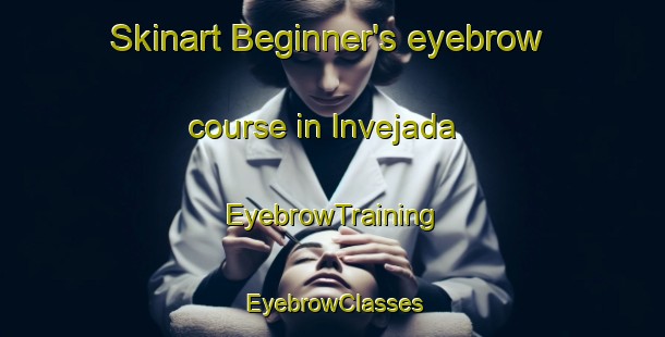 Skinart Beginner's eyebrow course in Invejada | EyebrowTraining | EyebrowClasses | SkinartTraining-Brazil