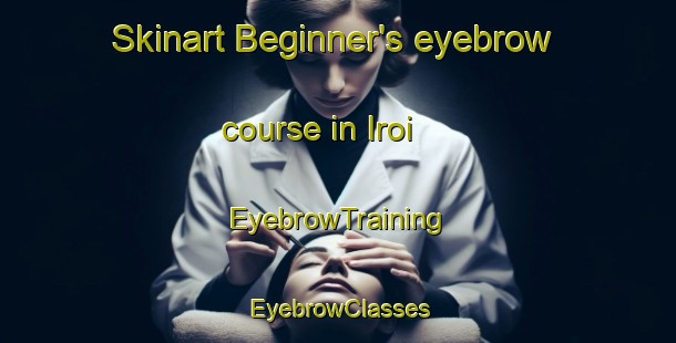 Skinart Beginner's eyebrow course in Iroi | EyebrowTraining | EyebrowClasses | SkinartTraining-Brazil