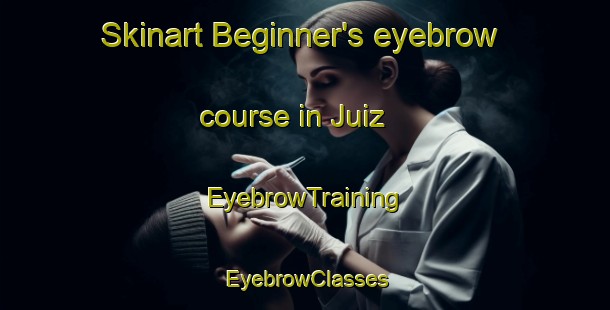 Skinart Beginner's eyebrow course in Juiz | EyebrowTraining | EyebrowClasses | SkinartTraining-Brazil