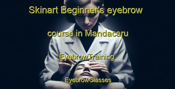 Skinart Beginner's eyebrow course in Mandacaru | EyebrowTraining | EyebrowClasses | SkinartTraining-Brazil