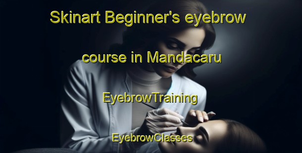 Skinart Beginner's eyebrow course in Mandacaru | EyebrowTraining | EyebrowClasses | SkinartTraining-Brazil
