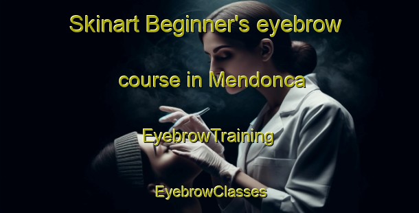 Skinart Beginner's eyebrow course in Mendonca | EyebrowTraining | EyebrowClasses | SkinartTraining-Brazil