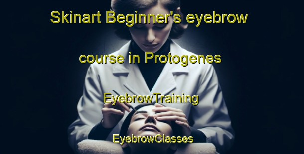Skinart Beginner's eyebrow course in Protogenes | EyebrowTraining | EyebrowClasses | SkinartTraining-Brazil