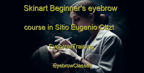 Skinart Beginner's eyebrow course in Sitio Eugenio Obzt | EyebrowTraining | EyebrowClasses | SkinartTraining-Brazil