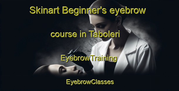 Skinart Beginner's eyebrow course in Taboleri | EyebrowTraining | EyebrowClasses | SkinartTraining-Brazil