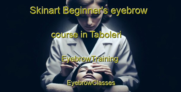 Skinart Beginner's eyebrow course in Taboleri | EyebrowTraining | EyebrowClasses | SkinartTraining-Brazil