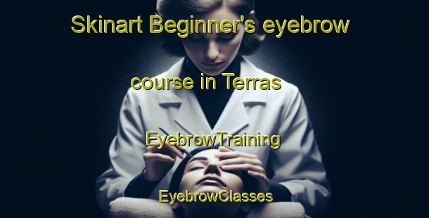 Skinart Beginner's eyebrow course in Terras | EyebrowTraining | EyebrowClasses | SkinartTraining-Brazil