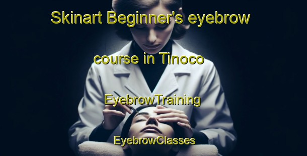 Skinart Beginner's eyebrow course in Tinoco | EyebrowTraining | EyebrowClasses | SkinartTraining-Brazil