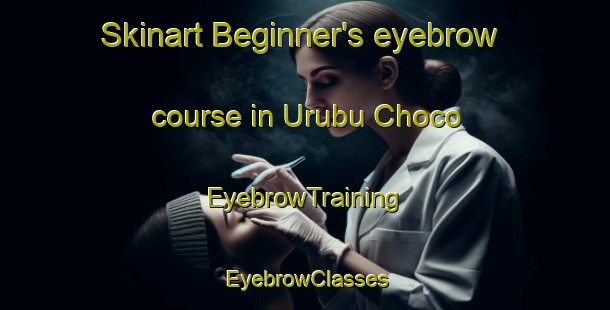 Skinart Beginner's eyebrow course in Urubu Choco | EyebrowTraining | EyebrowClasses | SkinartTraining-Brazil