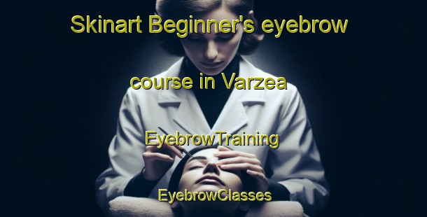 Skinart Beginner's eyebrow course in Varzea | EyebrowTraining | EyebrowClasses | SkinartTraining-Brazil