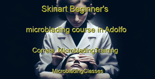 Skinart Beginner's microblading course in Adolfo Correia | #MicrobladingTraining #MicrobladingClasses #SkinartTraining-Brazil