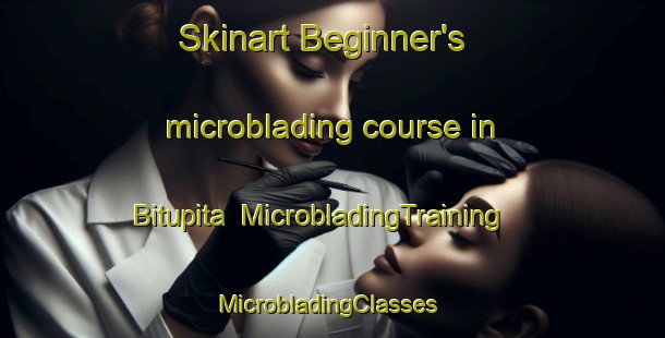 Skinart Beginner's microblading course in Bitupita | MicrobladingTraining | MicrobladingClasses | SkinartTraining-Brazil