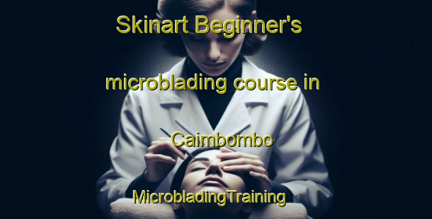 Skinart Beginner's microblading course in Caimbombo | MicrobladingTraining | MicrobladingClasses | SkinartTraining-Brazil