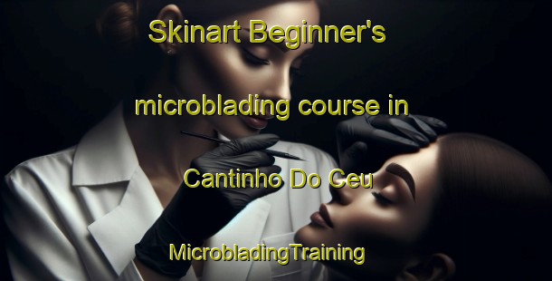 Skinart Beginner's microblading course in Cantinho Do Ceu | MicrobladingTraining | MicrobladingClasses | SkinartTraining-Brazil