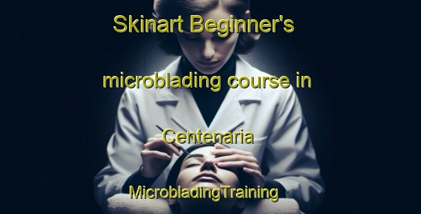 Skinart Beginner's microblading course in Centenaria | MicrobladingTraining | MicrobladingClasses | SkinartTraining-Brazil