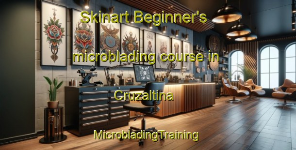 Skinart Beginner's microblading course in Cruzaltina | #MicrobladingTraining #MicrobladingClasses #SkinartTraining-Brazil