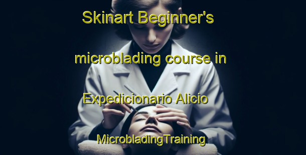 Skinart Beginner's microblading course in Expedicionario Alicio | #MicrobladingTraining #MicrobladingClasses #SkinartTraining-Brazil