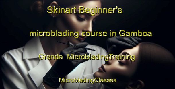 Skinart Beginner's microblading course in Gamboa Grande | #MicrobladingTraining #MicrobladingClasses #SkinartTraining-Brazil