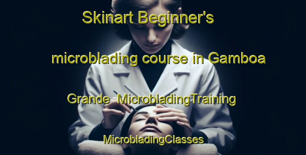 Skinart Beginner's microblading course in Gamboa Grande | #MicrobladingTraining #MicrobladingClasses #SkinartTraining-Brazil