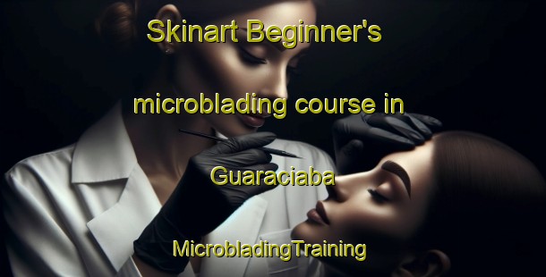 Skinart Beginner's microblading course in Guaraciaba | #MicrobladingTraining #MicrobladingClasses #SkinartTraining-Brazil