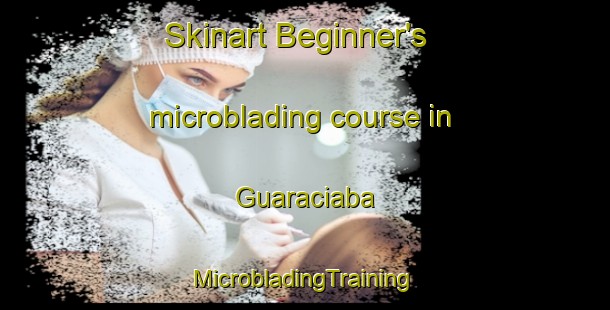 Skinart Beginner's microblading course in Guaraciaba | #MicrobladingTraining #MicrobladingClasses #SkinartTraining-Brazil