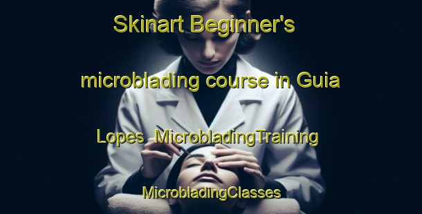 Skinart Beginner's microblading course in Guia Lopes | #MicrobladingTraining #MicrobladingClasses #SkinartTraining-Brazil