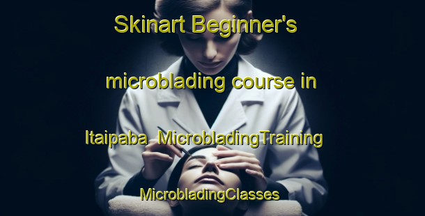 Skinart Beginner's microblading course in Itaipaba | MicrobladingTraining | MicrobladingClasses | SkinartTraining-Brazil