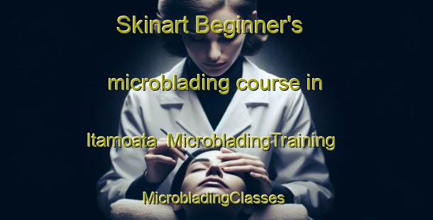 Skinart Beginner's microblading course in Itamoata | MicrobladingTraining | MicrobladingClasses | SkinartTraining-Brazil