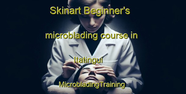 Skinart Beginner's microblading course in Itatingui | #MicrobladingTraining #MicrobladingClasses #SkinartTraining-Brazil