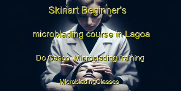 Skinart Beginner's microblading course in Lagoa Do Casco | MicrobladingTraining | MicrobladingClasses | SkinartTraining-Brazil