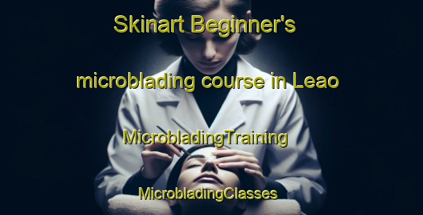 Skinart Beginner's microblading course in Leao | MicrobladingTraining | MicrobladingClasses | SkinartTraining-Brazil