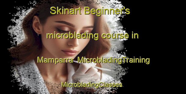 Skinart Beginner's microblading course in Mamparra | MicrobladingTraining | MicrobladingClasses | SkinartTraining-Brazil