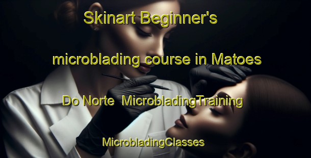 Skinart Beginner's microblading course in Matoes Do Norte | MicrobladingTraining | MicrobladingClasses | SkinartTraining-Brazil