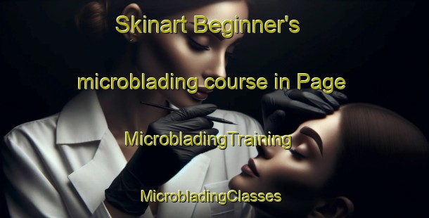 Skinart Beginner's microblading course in Page | MicrobladingTraining | MicrobladingClasses | SkinartTraining-Brazil