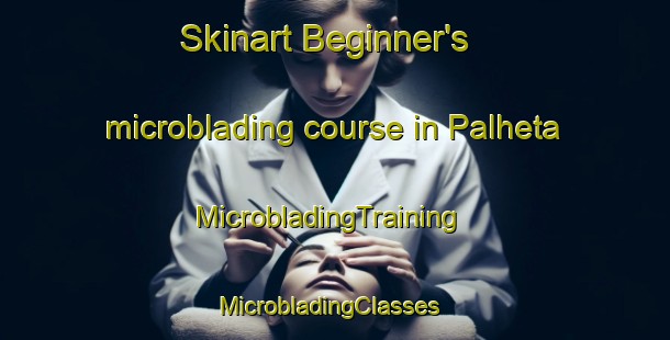 Skinart Beginner's microblading course in Palheta | MicrobladingTraining | MicrobladingClasses | SkinartTraining-Brazil