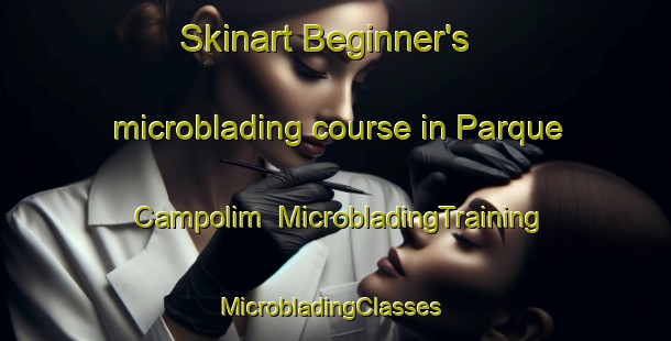 Skinart Beginner's microblading course in Parque Campolim | MicrobladingTraining | MicrobladingClasses | SkinartTraining-Brazil