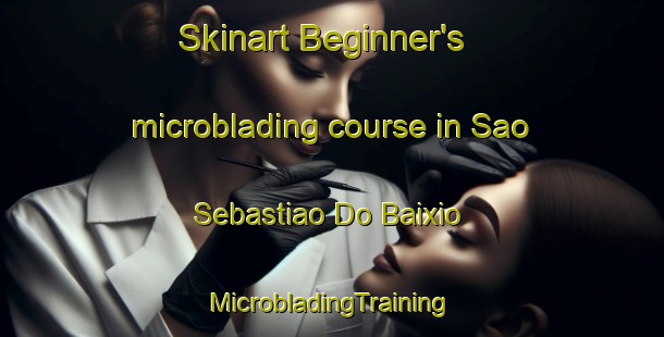 Skinart Beginner's microblading course in Sao Sebastiao Do Baixio | #MicrobladingTraining #MicrobladingClasses #SkinartTraining-Brazil