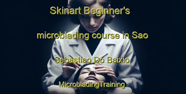 Skinart Beginner's microblading course in Sao Sebastiao Do Baixio | #MicrobladingTraining #MicrobladingClasses #SkinartTraining-Brazil