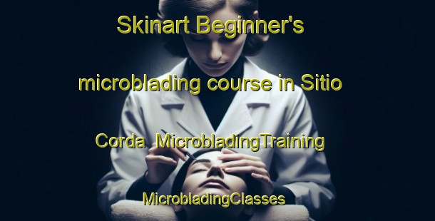 Skinart Beginner's microblading course in Sitio Corda | MicrobladingTraining | MicrobladingClasses | SkinartTraining-Brazil