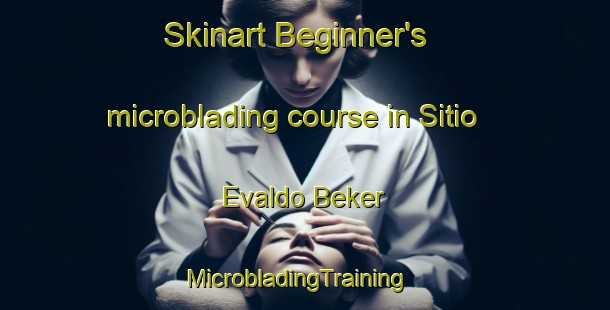 Skinart Beginner's microblading course in Sitio Evaldo Beker | MicrobladingTraining | MicrobladingClasses | SkinartTraining-Brazil