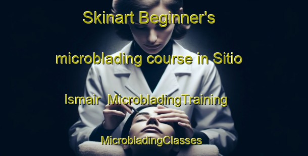 Skinart Beginner's microblading course in Sitio Ismair | MicrobladingTraining | MicrobladingClasses | SkinartTraining-Brazil