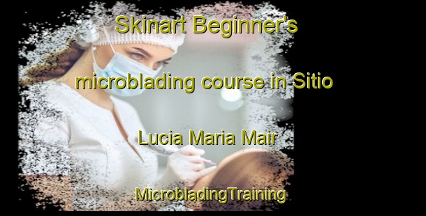 Skinart Beginner's microblading course in Sitio Lucia Maria Mair | #MicrobladingTraining #MicrobladingClasses #SkinartTraining-Brazil